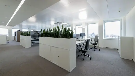 Innenarchitektur eines modernen Büros mit warmen Materialien